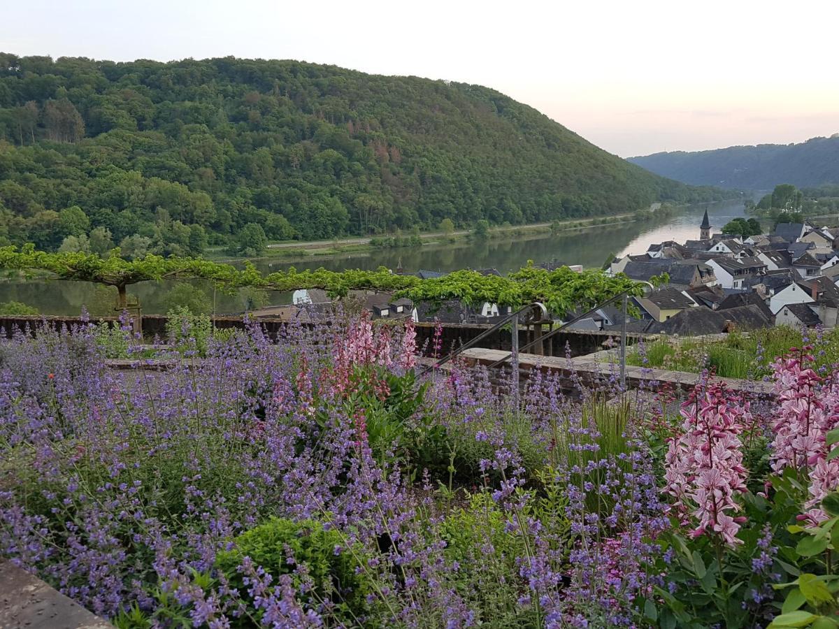 Отель Winzerhof Gietzen Hatzenport Экстерьер фото